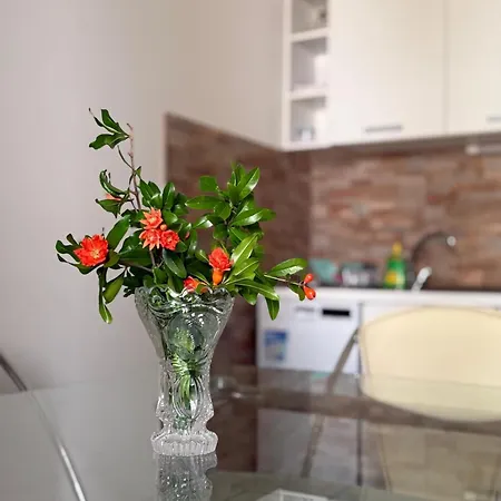A3-90m2 W Shared Pool & Balcony Next To Apartmán Trogir